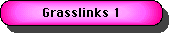 Grasslinks Form iniziale